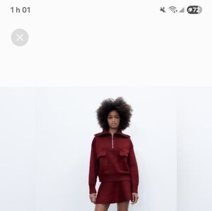 Zara Burgundy Mini Skirt
